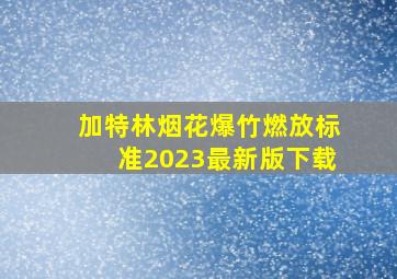 加特林烟花爆竹燃放标准2023最新版下载