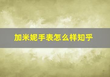 加米妮手表怎么样知乎