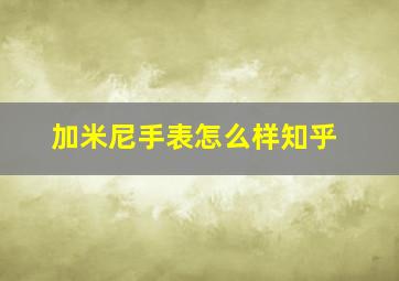 加米尼手表怎么样知乎