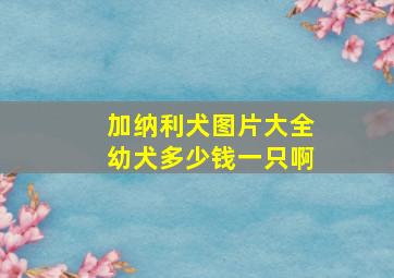 加纳利犬图片大全幼犬多少钱一只啊