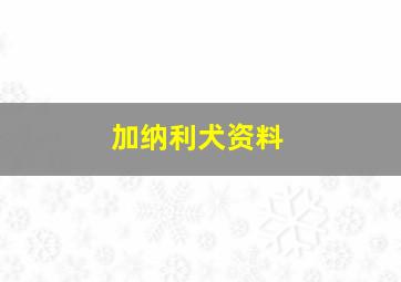 加纳利犬资料