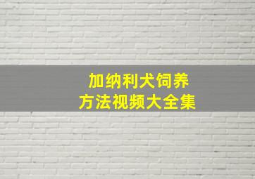 加纳利犬饲养方法视频大全集