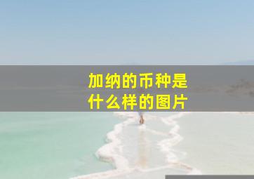 加纳的币种是什么样的图片