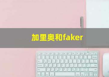 加里奥和faker