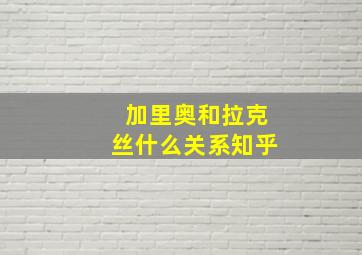 加里奥和拉克丝什么关系知乎