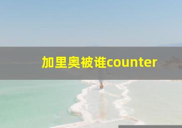 加里奥被谁counter