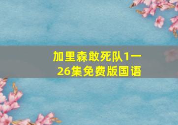 加里森敢死队1一26集免费版国语