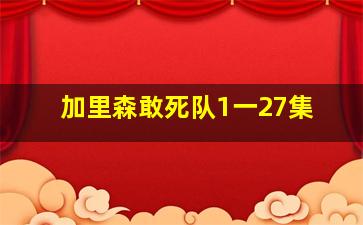 加里森敢死队1一27集