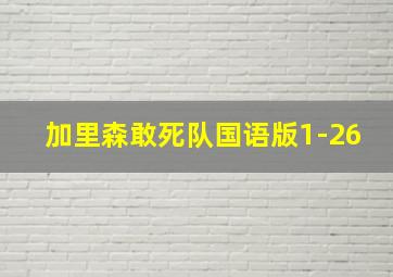 加里森敢死队国语版1-26