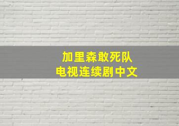 加里森敢死队电视连续剧中文