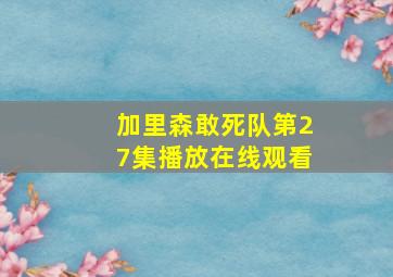 加里森敢死队第27集播放在线观看