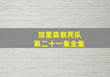 加里森敢死队第二十一集全集