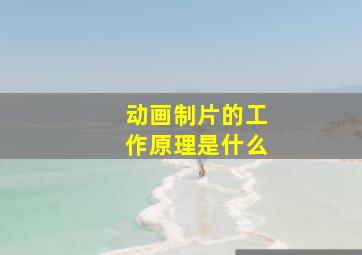 动画制片的工作原理是什么