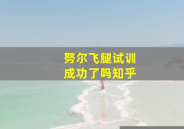 努尔飞腿试训成功了吗知乎