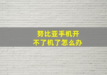 努比亚手机开不了机了怎么办