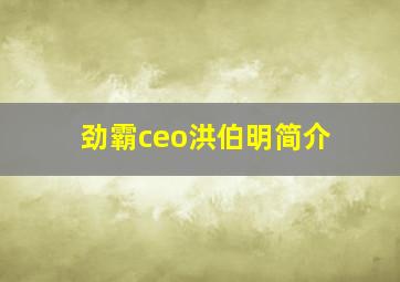 劲霸ceo洪伯明简介