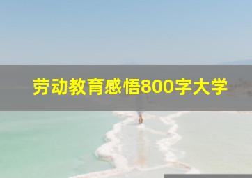 劳动教育感悟800字大学