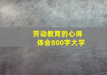 劳动教育的心得体会800字大学