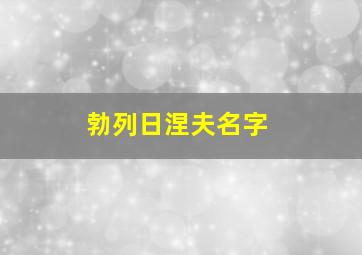 勃列日涅夫名字