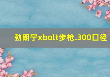 勃朗宁xbolt步枪.300口径