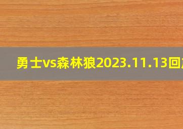 勇士vs森林狼2023.11.13回放