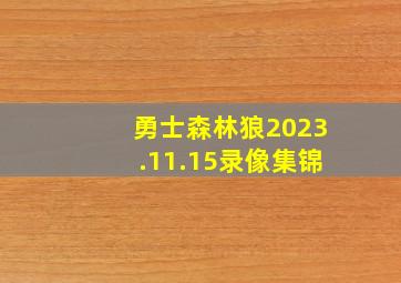 勇士森林狼2023.11.15录像集锦