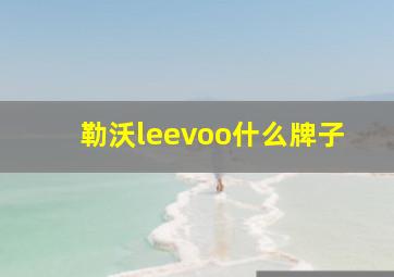 勒沃leevoo什么牌子