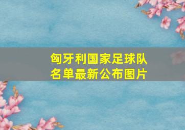 匈牙利国家足球队名单最新公布图片