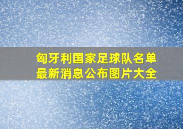 匈牙利国家足球队名单最新消息公布图片大全