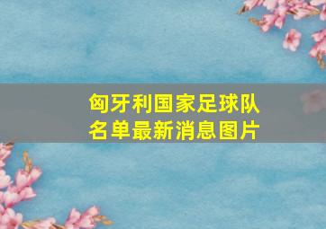 匈牙利国家足球队名单最新消息图片