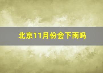 北京11月份会下雨吗