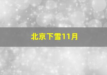 北京下雪11月