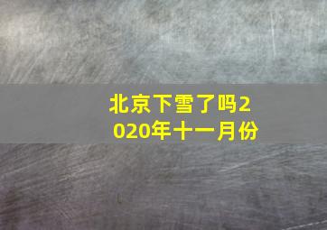 北京下雪了吗2020年十一月份