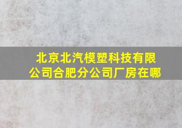 北京北汽模塑科技有限公司合肥分公司厂房在哪