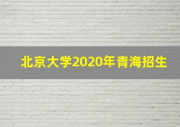 北京大学2020年青海招生