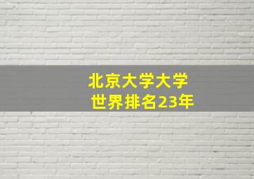 北京大学大学世界排名23年