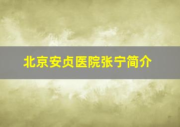 北京安贞医院张宁简介