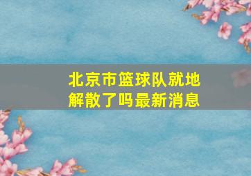 北京市篮球队就地解散了吗最新消息