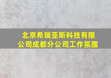 北京希瑞亚斯科技有限公司成都分公司工作氛围