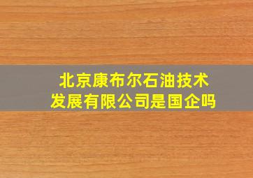 北京康布尔石油技术发展有限公司是国企吗