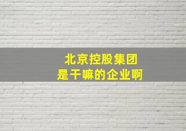 北京控股集团是干嘛的企业啊