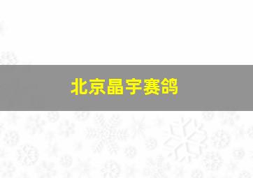 北京晶宇赛鸽