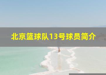 北京篮球队13号球员简介