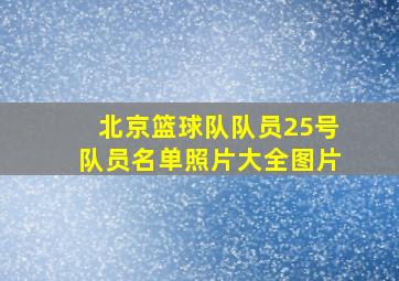 北京篮球队队员25号队员名单照片大全图片