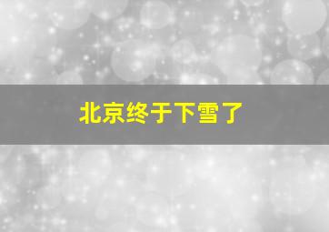 北京终于下雪了