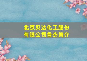 北京贝达化工股份有限公司鲁杰简介