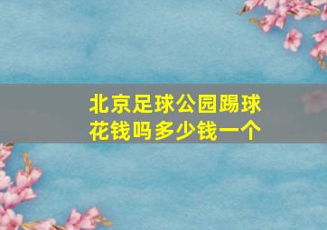 北京足球公园踢球花钱吗多少钱一个