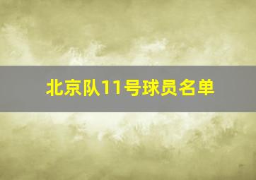 北京队11号球员名单