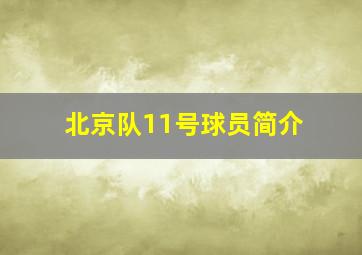 北京队11号球员简介