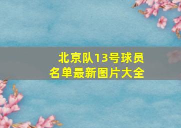 北京队13号球员名单最新图片大全